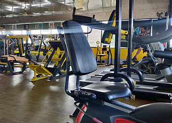 Kochi Gym 777 Fitness Hub image 1