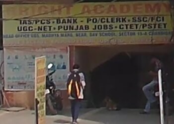 लुधिअना कोचिंग क्लासेस AAA Bright Academy Ludhiana छवि 1