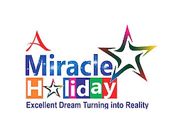A Miracle Holiday
