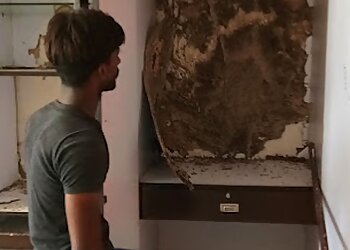 Aakash Pest Control Service