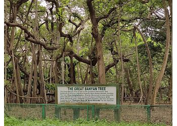 Acharya Jagadish Chandra Bose Indian Botanic Garden