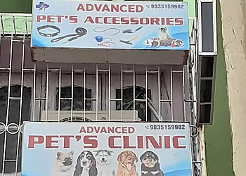 Advanced Dog's Clinic