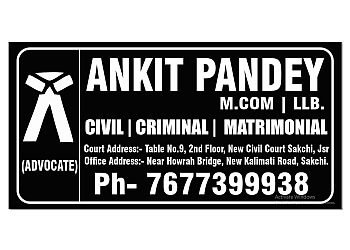 Advocate Ankit Pandey 