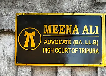 Advocate Meena Ali
