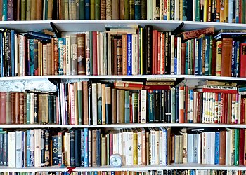 Ali Mohammad and Sons