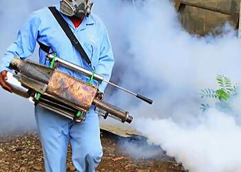 All India Pest Control