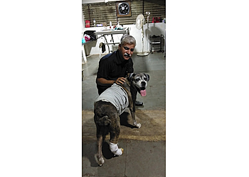 All for Pets-Dr Satish Gore