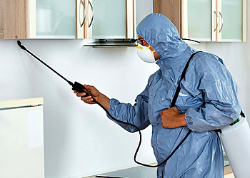 Alliance Pest Control