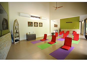 Alpha Healing Center