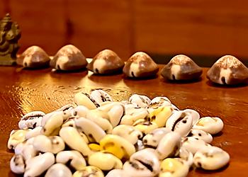 Amballur Sreejith panicker Astrologer