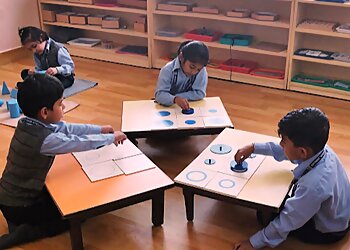 American Montessori Public School