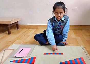 American Montessori Public School