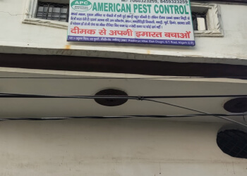 American Pest Control Aligarh 