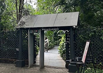 Amethyst Wild Garden Cafe