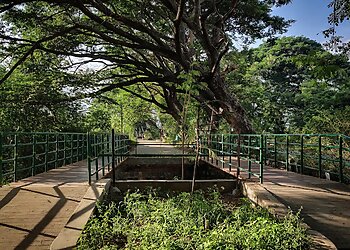 Ammapet Lakeside Park