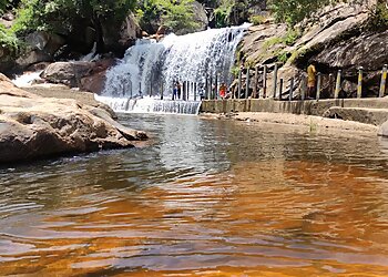 Anamalai Tiger Reserve