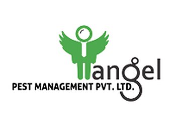 Bhavnagar Pest Control Services Angel Pest Management Pvt. Ltd image 1