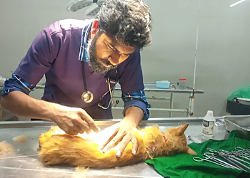 Animal Hospital Kolhapur