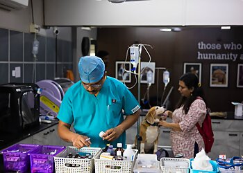 Animal Medical Services