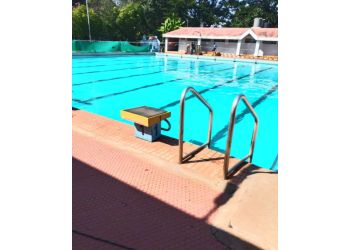 Anna Stadium Swimming Pool