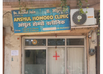 Anshul Homeo Clinic
