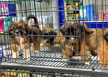 Anurag Kennel & Pet Shop