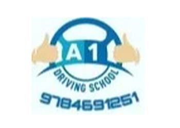 A one Motor Driving School