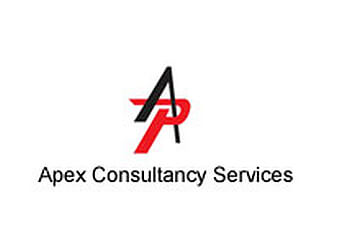 Apex Consultancy Services