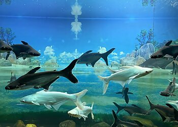 Aqua World Machli Ghar