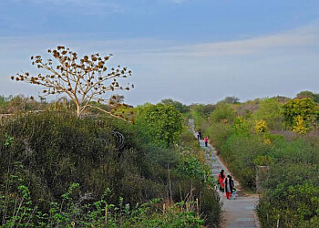 Aravali Biodiversity Park