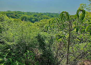 Aravali Biodiversity Park