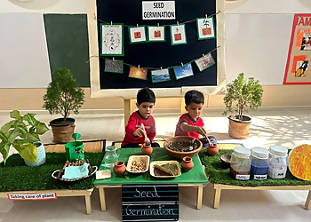 Ardee Montessori House