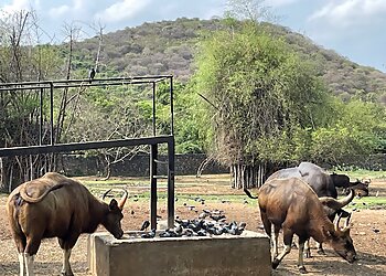 Arignar Anna Zoological Park