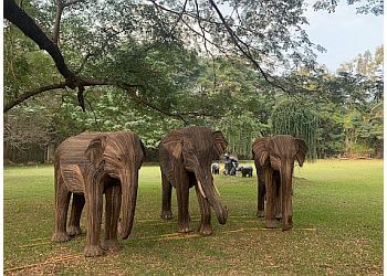 Arignar Anna Zoological Park