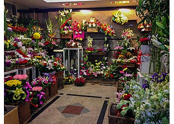 Aristo Florist