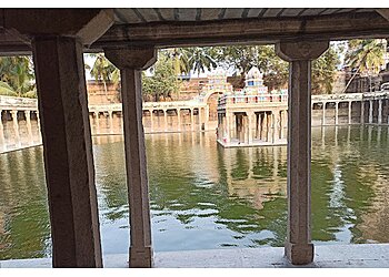 Arulmigu Nellaiyappar Temple