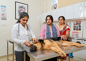 Aruma Multispeciality Pet Hospital