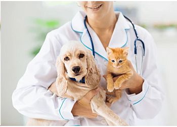 Aryak Pets Clinic & Care Center