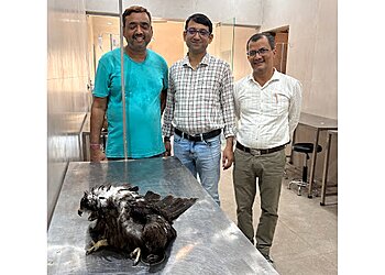 Ashray Dog Care Clinic