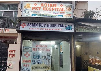 Asian Pet Hospital