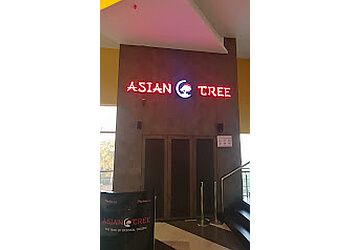 Asian Tree