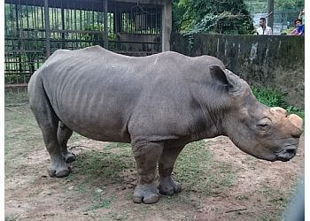 Assam State Zoo cum Botanical Garden