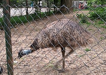 Assam State Zoo cum Botanical Garden
