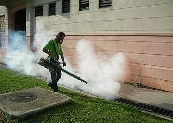 Assured Herbal Pest Control Services