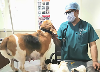 Aura MultiSpeciality Pet Clinic