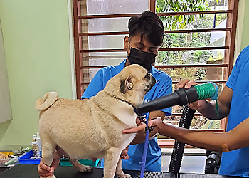 Aura MultiSpeciality Pet Clinic