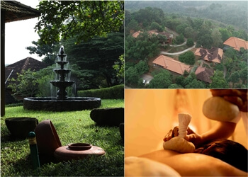 AyurMana | Dharma Ayurveda Centre for Advanced Healing