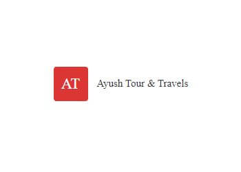 Ayush Tour and Travels