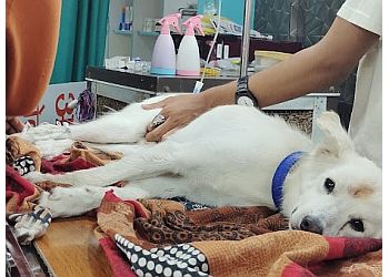 Ayushmaan Pets Clinic & Pharmacy