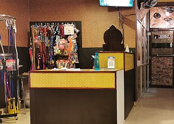 Barking Fine Hospital